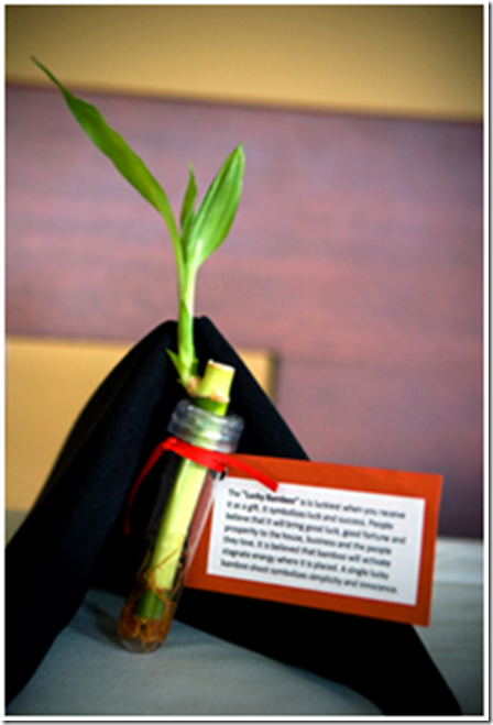 Bamboo Wedding Favors This can be a DIY project You can buy the Bamboo and
